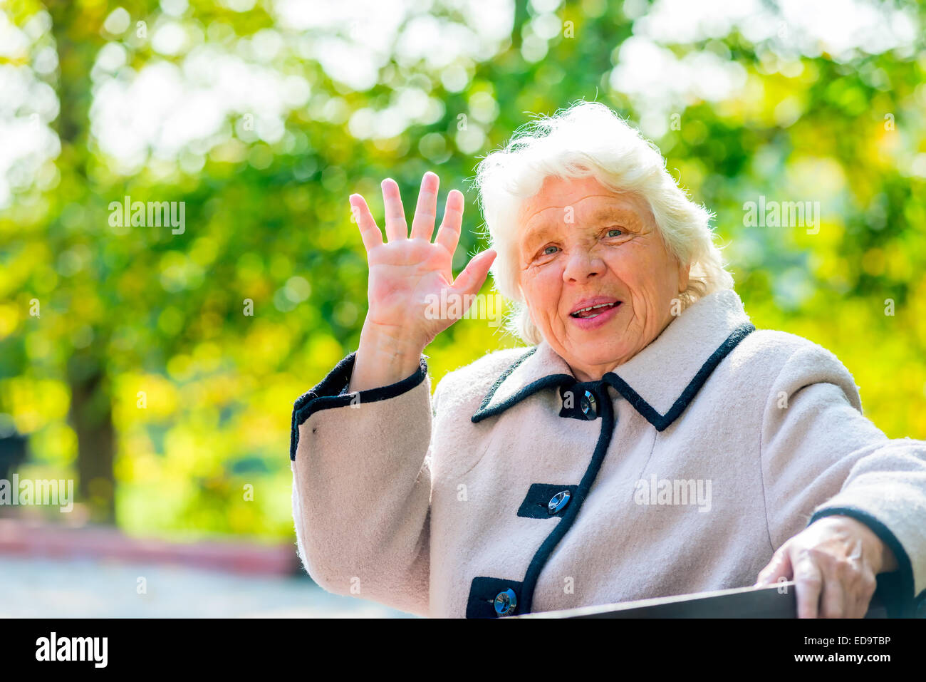 Portrait einer älteren Frau mit grauen Haaren im park Stockfoto