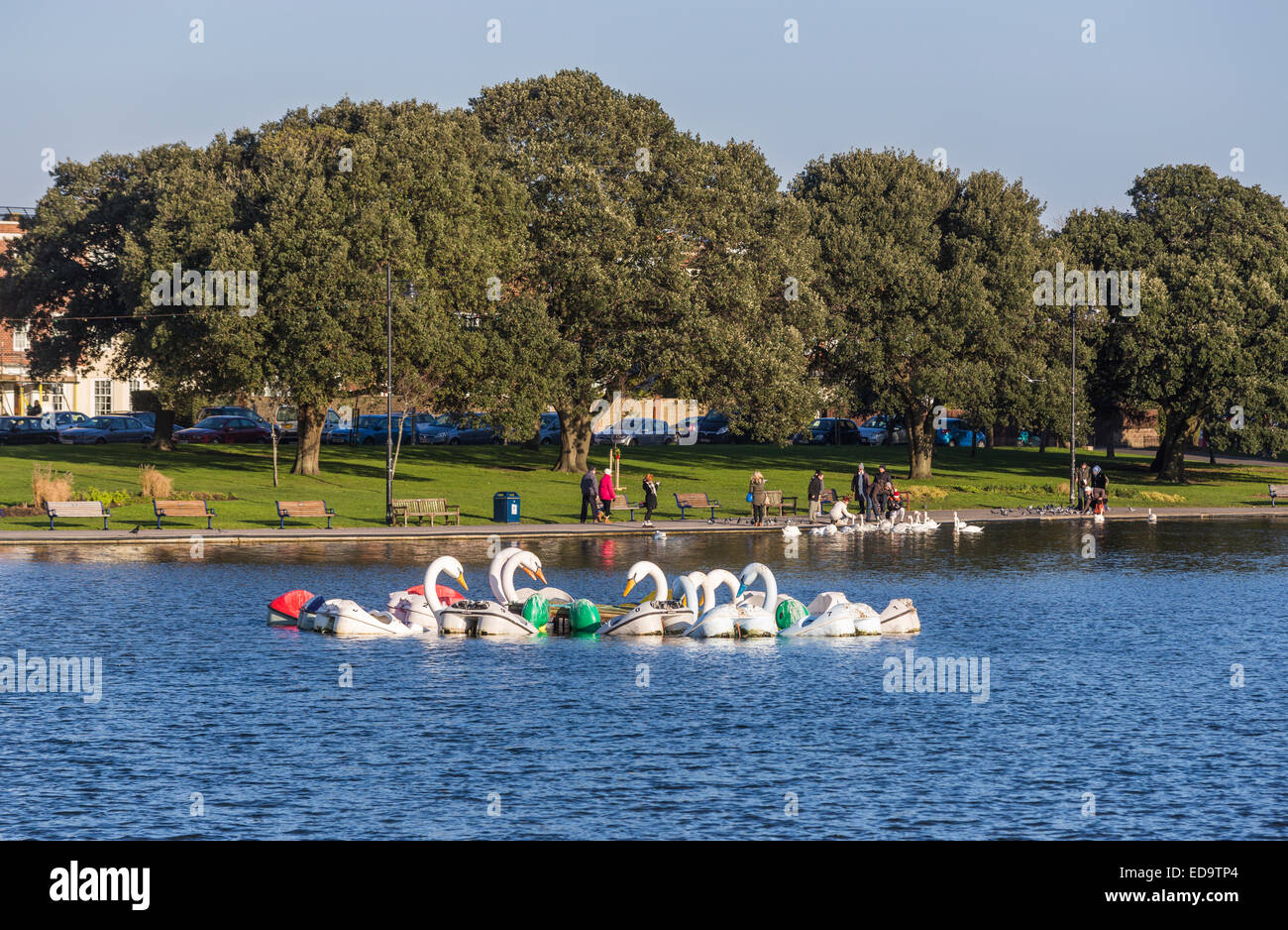 Schwan geformt Sportboote (Tretboote) am Canoe Lake, einen See mit Booten in Southsea, Portsmouth, UK mit echten Schwäne im Hintergrund Stockfoto