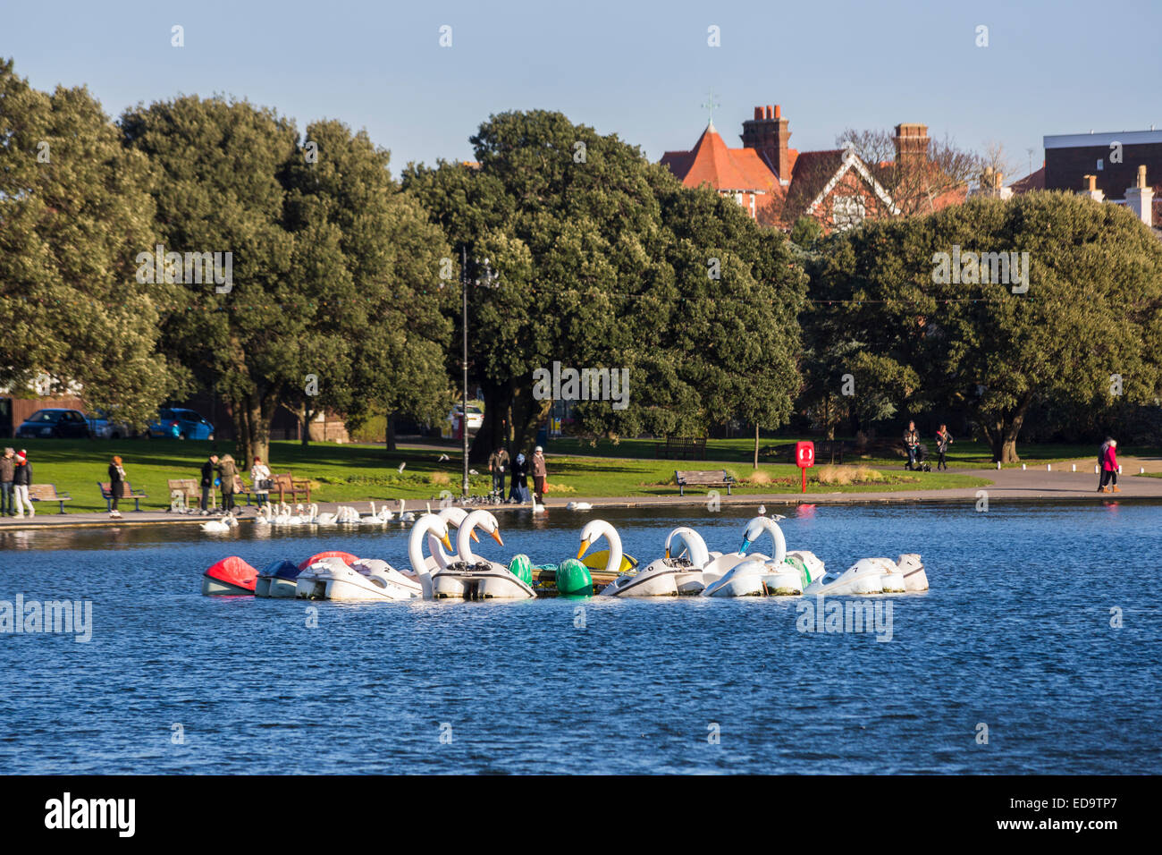 Schwan geformt Sportboote am Canoe Lake, einen See mit Booten in Southsea, Portsmouth, UK mit echten Schwäne im Hintergrund Stockfoto
