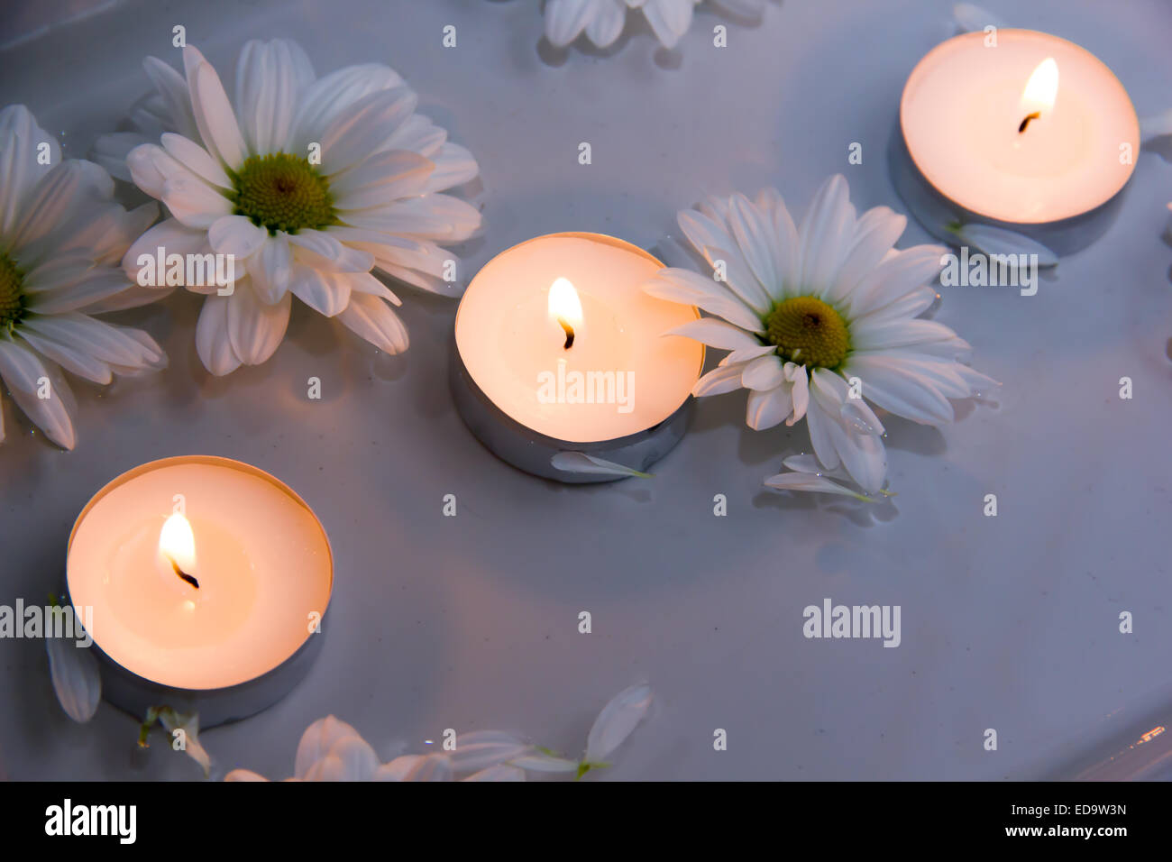 Kerzen in Wasser mit Gänseblümchen und Blütenblätter Stockfoto