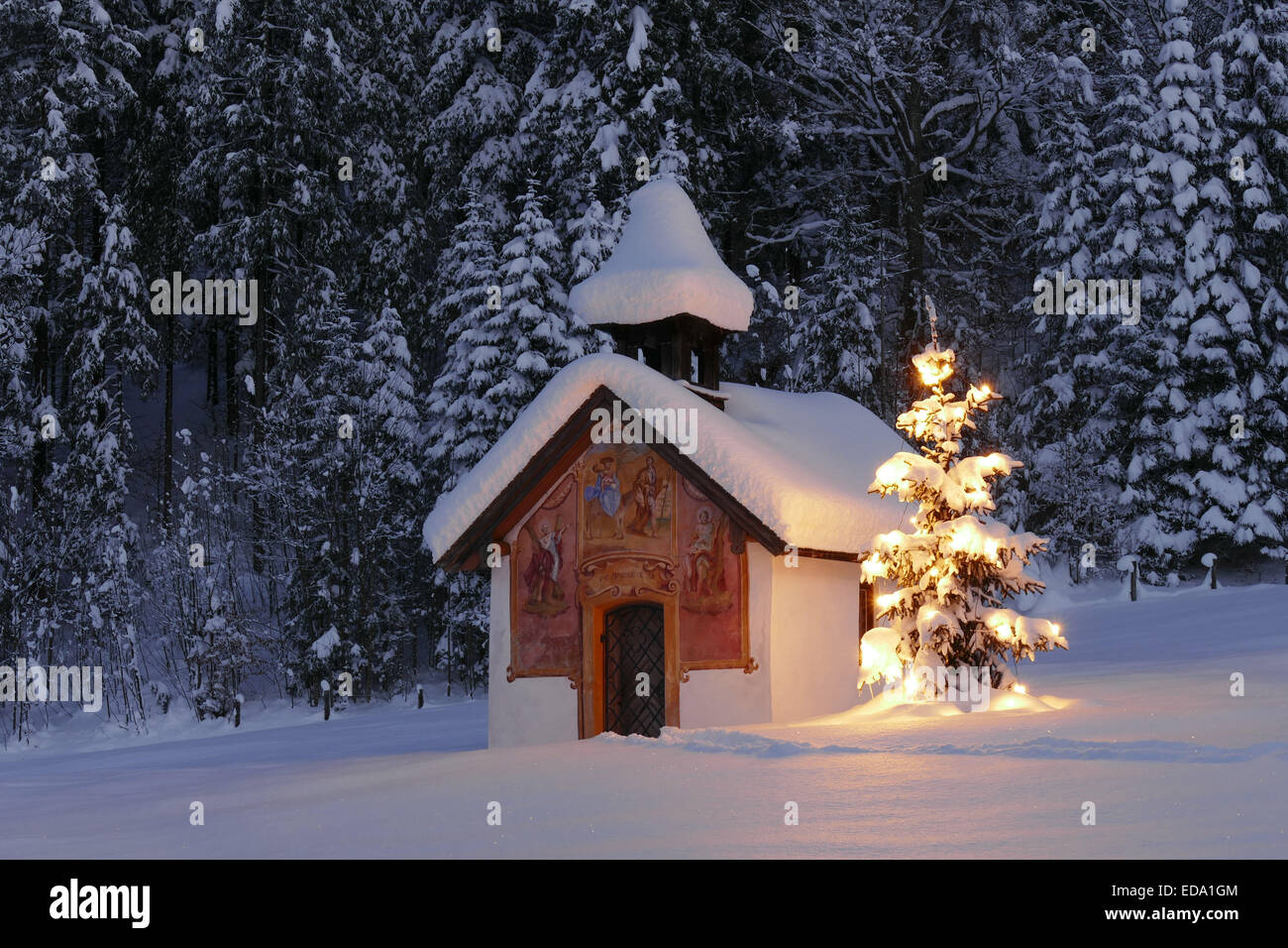Weihnachten 2022 Bayern Schnee Beleuchteter Christbaum Vor Einer Kapelle Im Winter, Bayern, Oberbayern