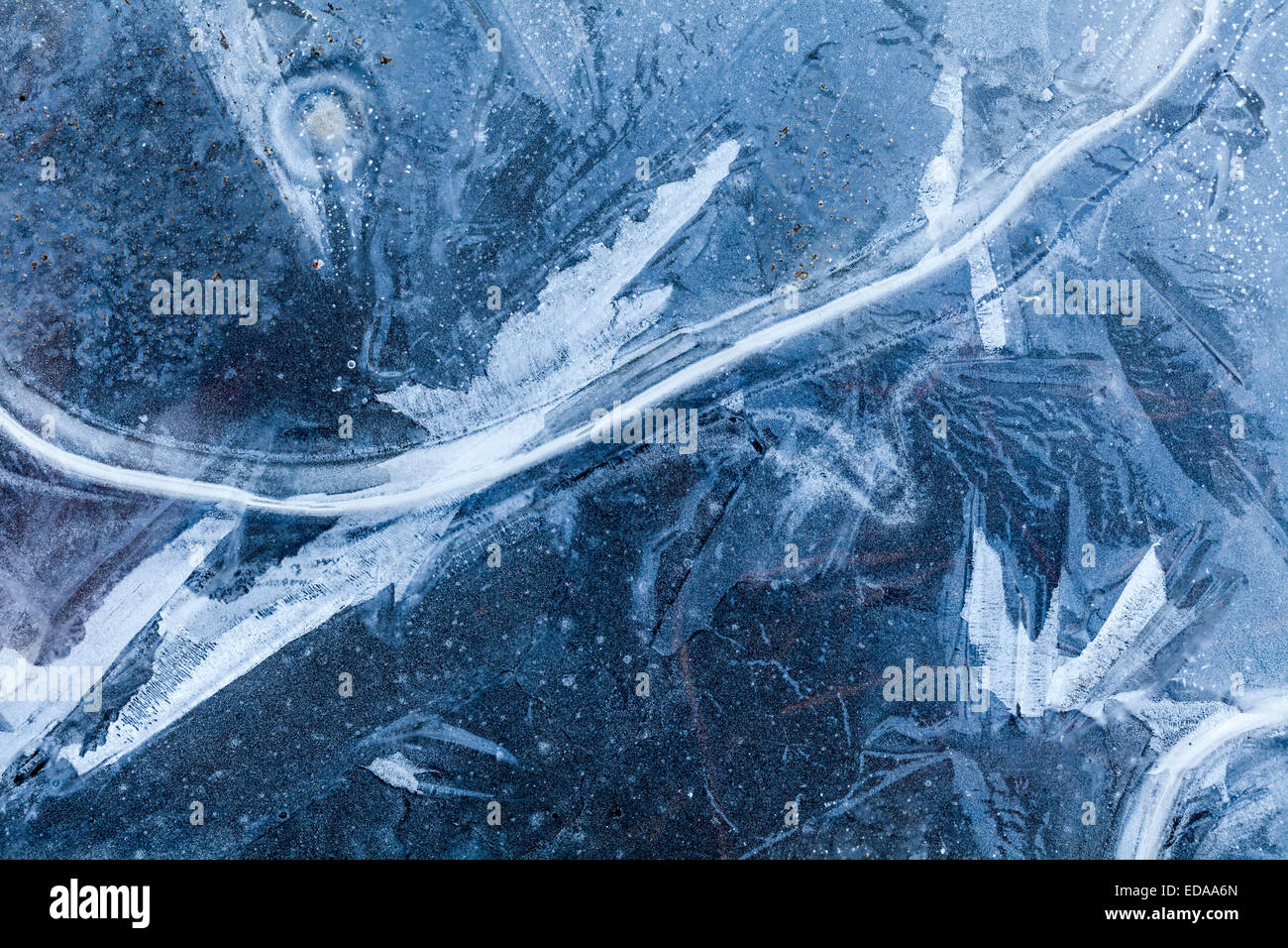 Beispiel des Kristallwachstums Eis in eine gefrorene Pfütze im Wald Stockfoto