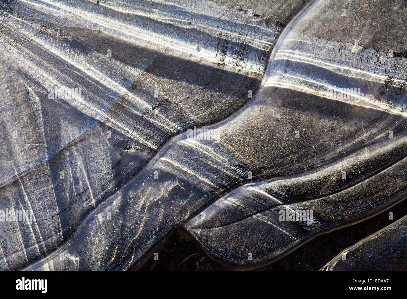 Radiale Brüche im Eis eines zugefrorenen Pfütze Stockfoto