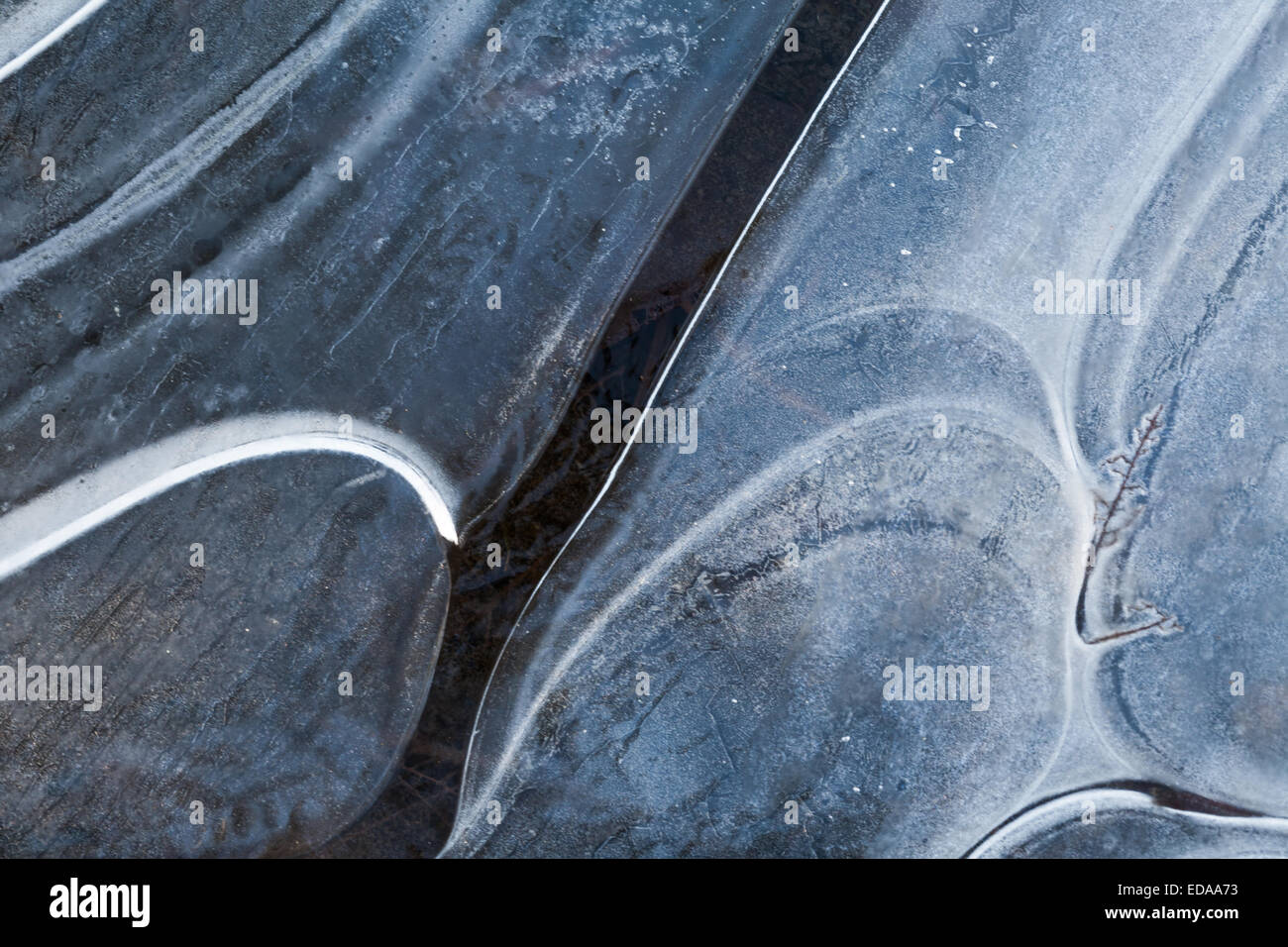 Gebogene Frakturen im Eis der zugefrorenen Pfütze Stockfoto
