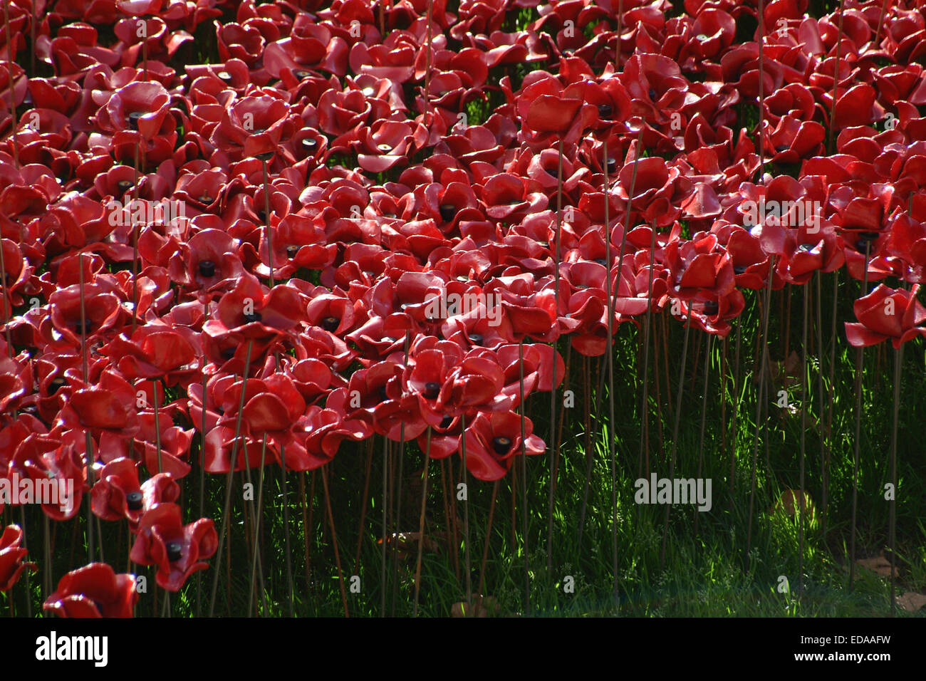 Keramik Mohn am Tower of London Stockfoto