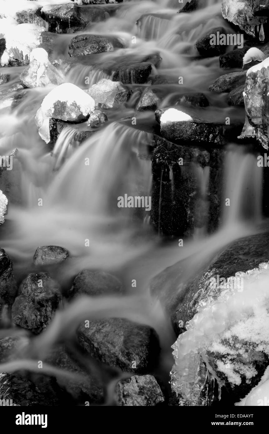 Frozen Stream in den kanadischen Rockies Stockfoto