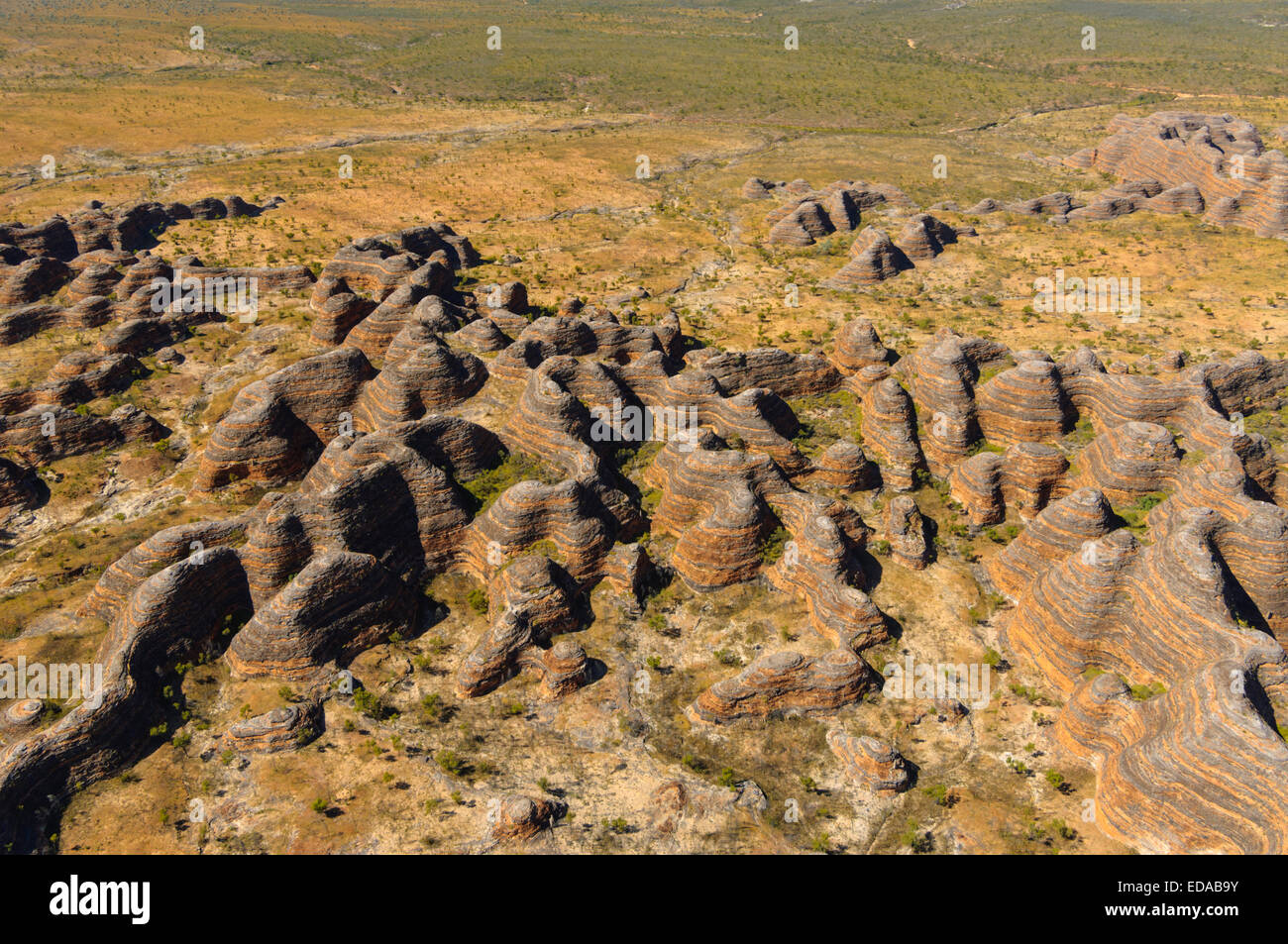 Luftbild von der Bungle Bungles (Purnululu), Kimberley, Western Australia, Australia Stockfoto