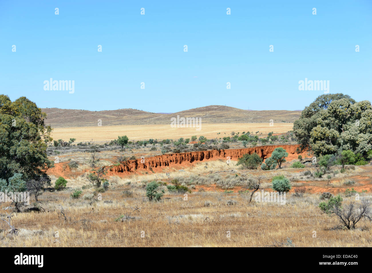 Outback in der Nähe von Flinders Ranges, South Australia Stockfoto