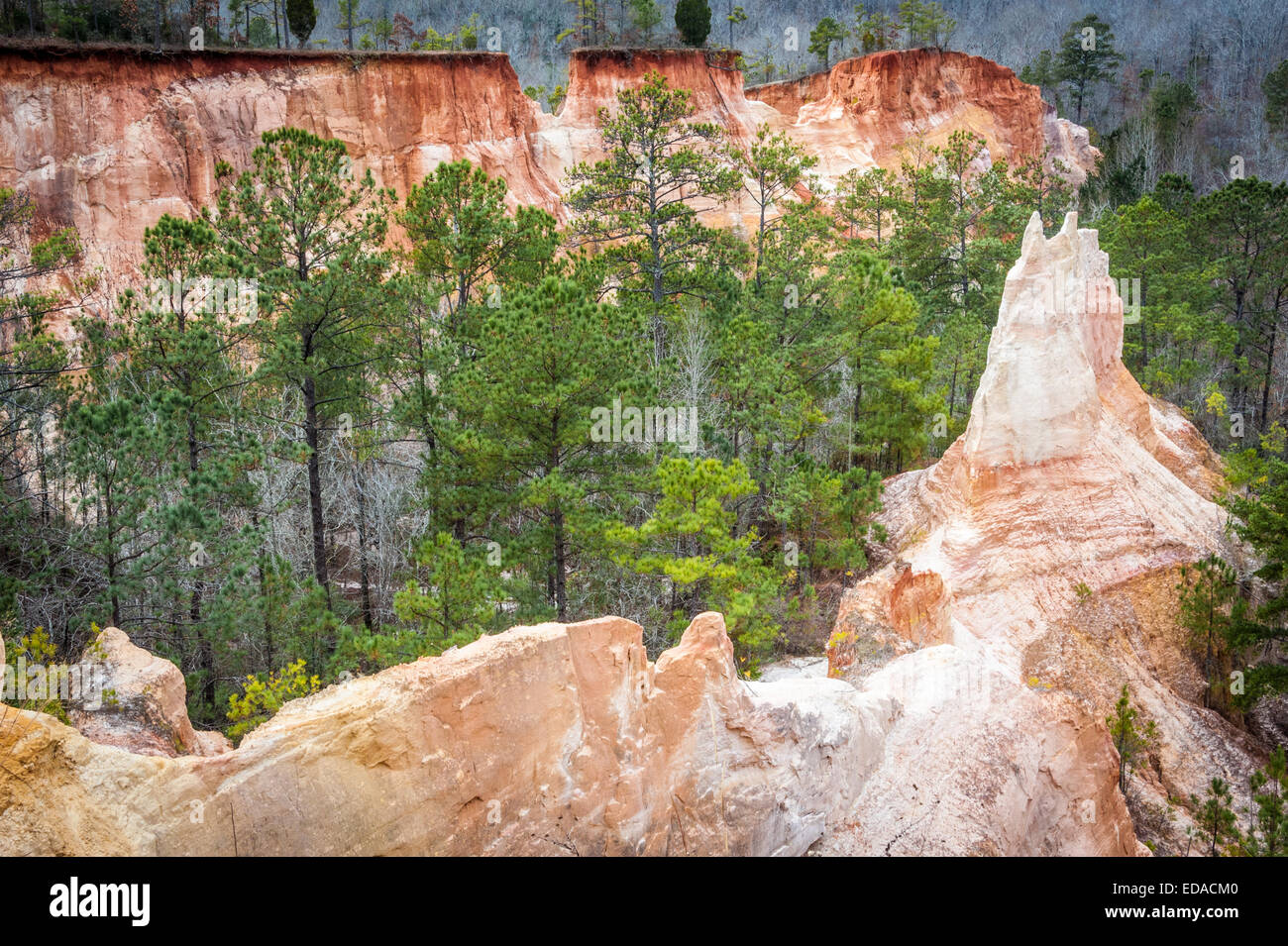 Die farbenfrohe, dramatische Landschaft des Providence Canyon, Georgia's „Little Grand Canyon“, in Lumpkin, Georgia. (USA) Stockfoto