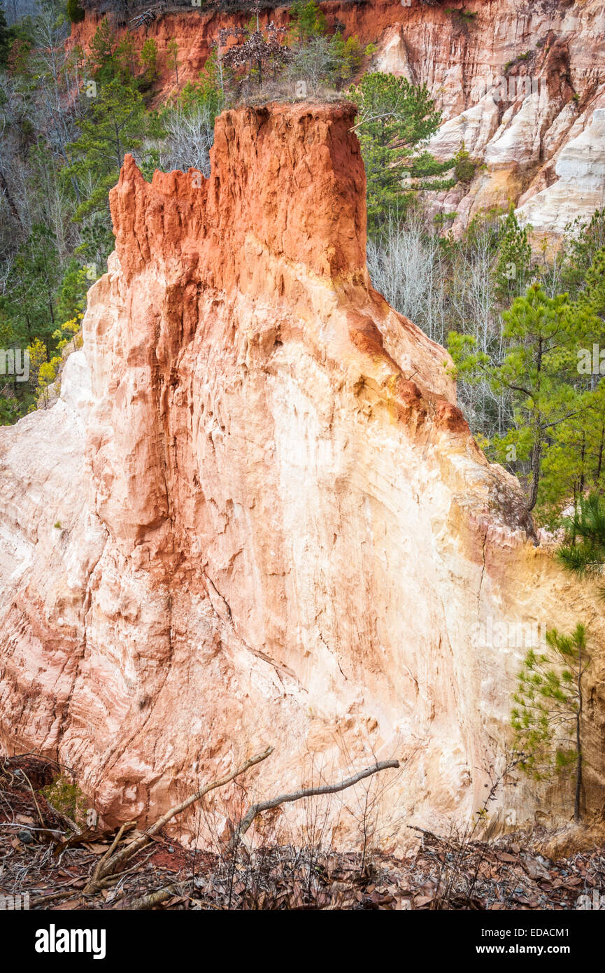 Klippen und Flossen aus buntem Lehm sorgen im Providence Canyon State Park in Lumpkin, Georgia, für dramatische Landschaften. (USA) Stockfoto