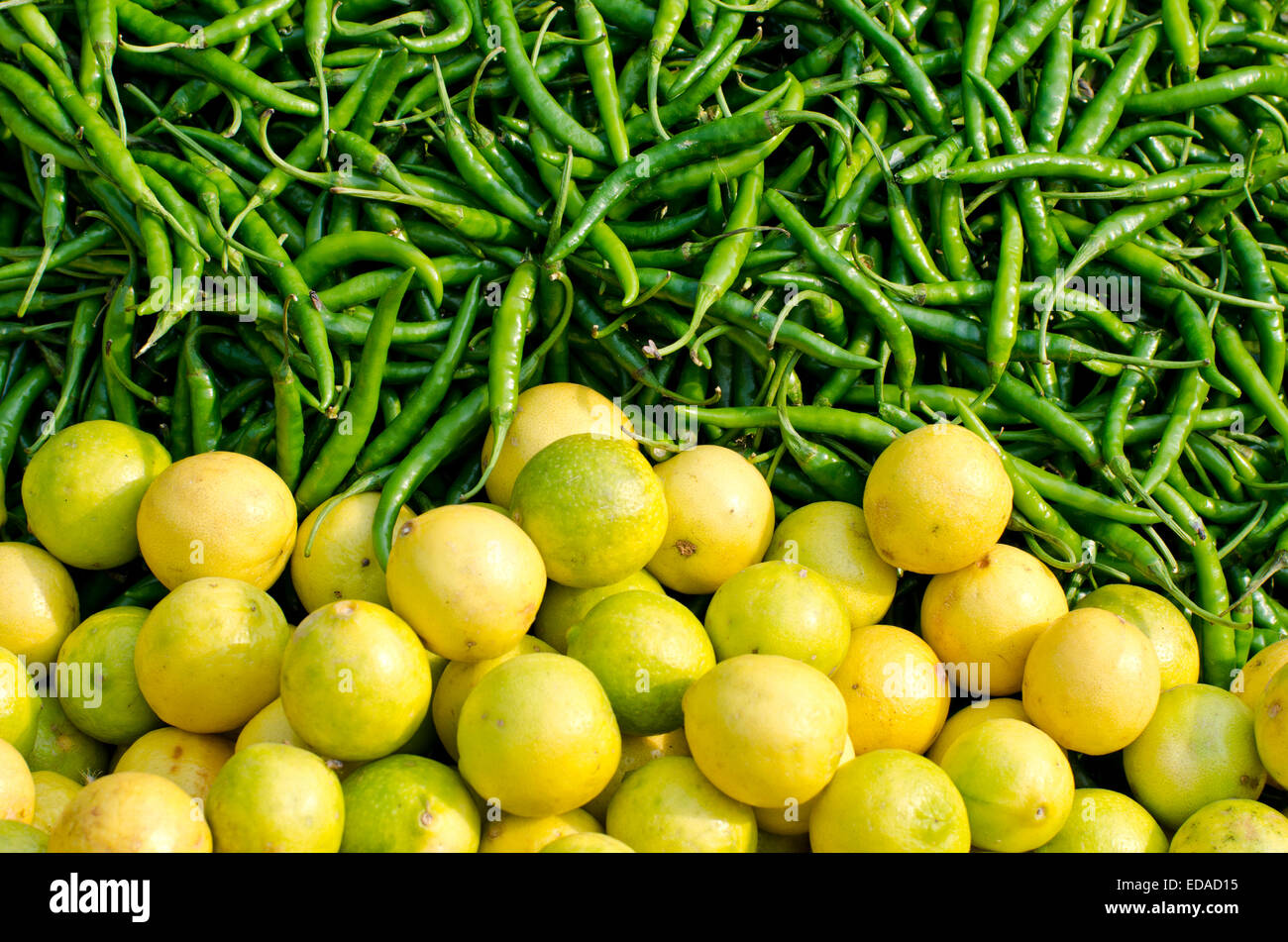 frische grüne Chilischoten und Zitronen im asiatischen Markt, Indien Stockfoto