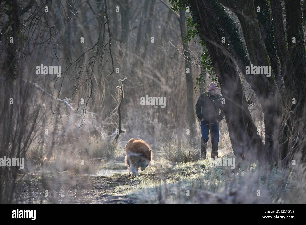 Aberystwyth Wales UK Sonntag, 4. Januar 2015.     UK-Wetter: ein Mann geht seinen Hund wie am frühen Morgen Frost den Boden auf dem Fluss Fooypath entlang dem Fluß Rheidol am Stadtrand von Aberystwyth früh am Sonntag Morgen über Nacht deckt die Temperatur im mittleren Wales auf minus 2 Grad Celsius unter einem klaren wolkenlosen Himmel Foto Keith Morris sank / Alamy live News Stockfoto