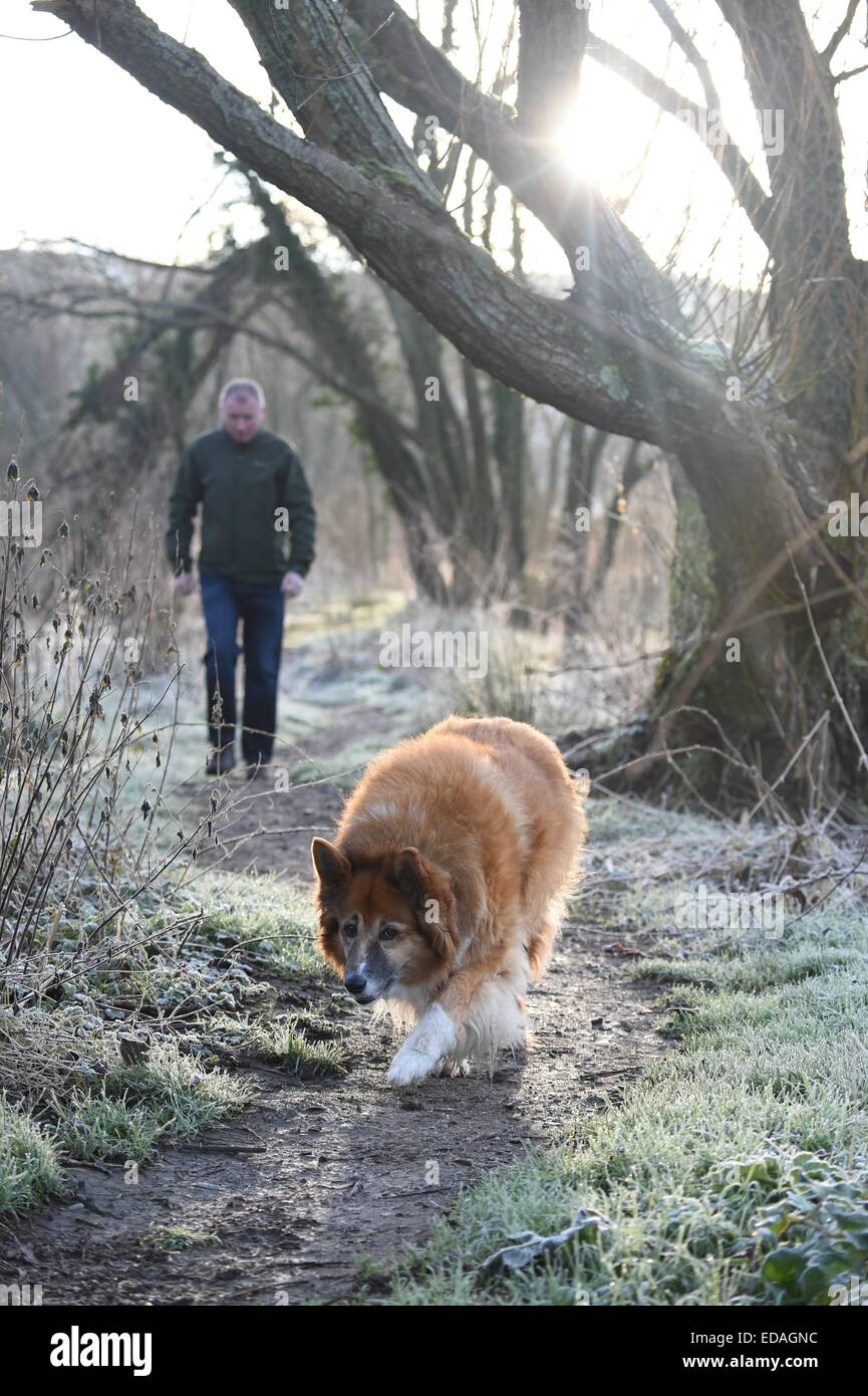 Aberystwyth Wales UK Sonntag, 4. Januar 2015.     UK-Wetter: ein Mann geht seinen Hund wie am frühen Morgen Frost den Boden auf dem Fluss Fooypath entlang dem Fluß Rheidol am Stadtrand von Aberystwyth früh am Sonntag Morgen über Nacht deckt die Temperatur im mittleren Wales auf minus 2 Grad Celsius unter einem klaren wolkenlosen Himmel Foto Keith Morris sank / Alamy live News Stockfoto