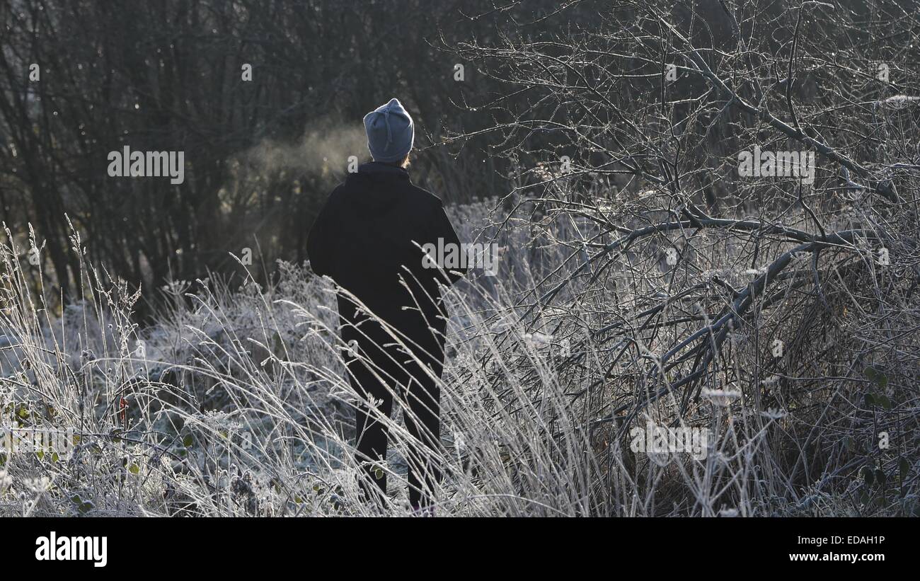Aberystwyth Wales UK Sonntag, 4. Januar 2015.     UK-Wetter: am frühen Morgen Frost den Boden auf der Uferpromenade entlang dem Fluß Rheidol am Stadtrand von Aberystwyth deckt früh am Sonntag Morgen über Nacht die Temperatur im mittleren Wales sank auf minus 2 Grad Celsius unter einem klaren wolkenlosen Himmel Foto Keith Morris / Alamy live News Stockfoto