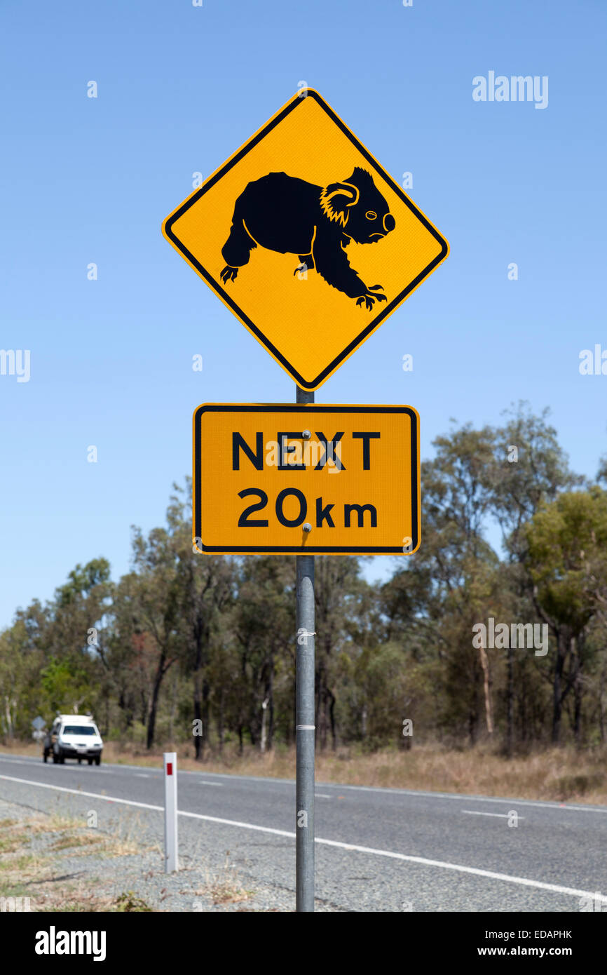 Warnzeichen für Koala in Queensland Stockfoto
