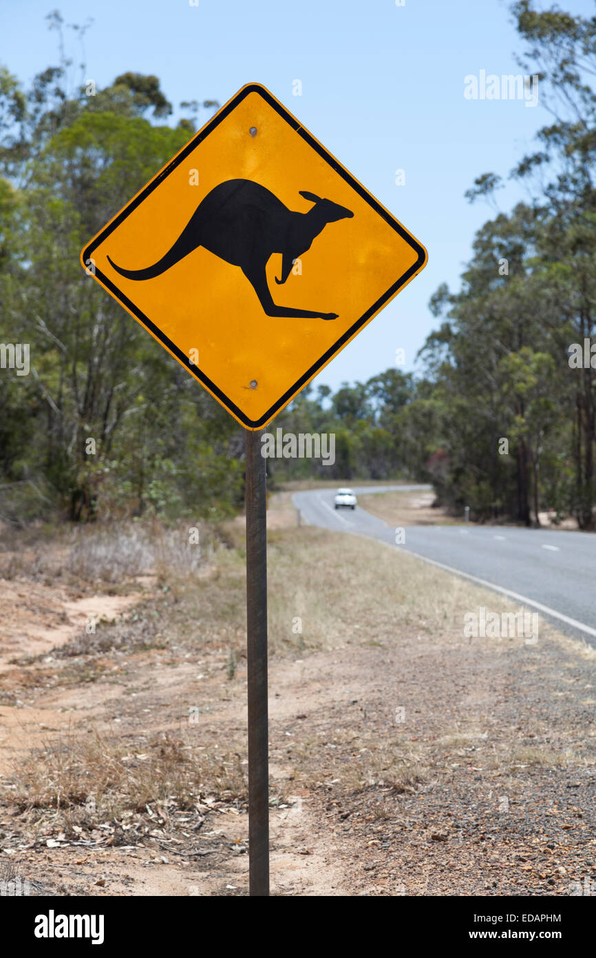 Warnzeichen für Känguru in Queensland Stockfoto