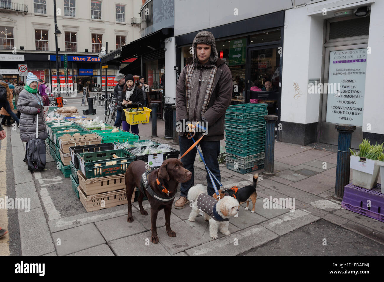 Mann zu Fuß seine Hunde am Sonntag Farmers Market in Brixton Market, London Stockfoto