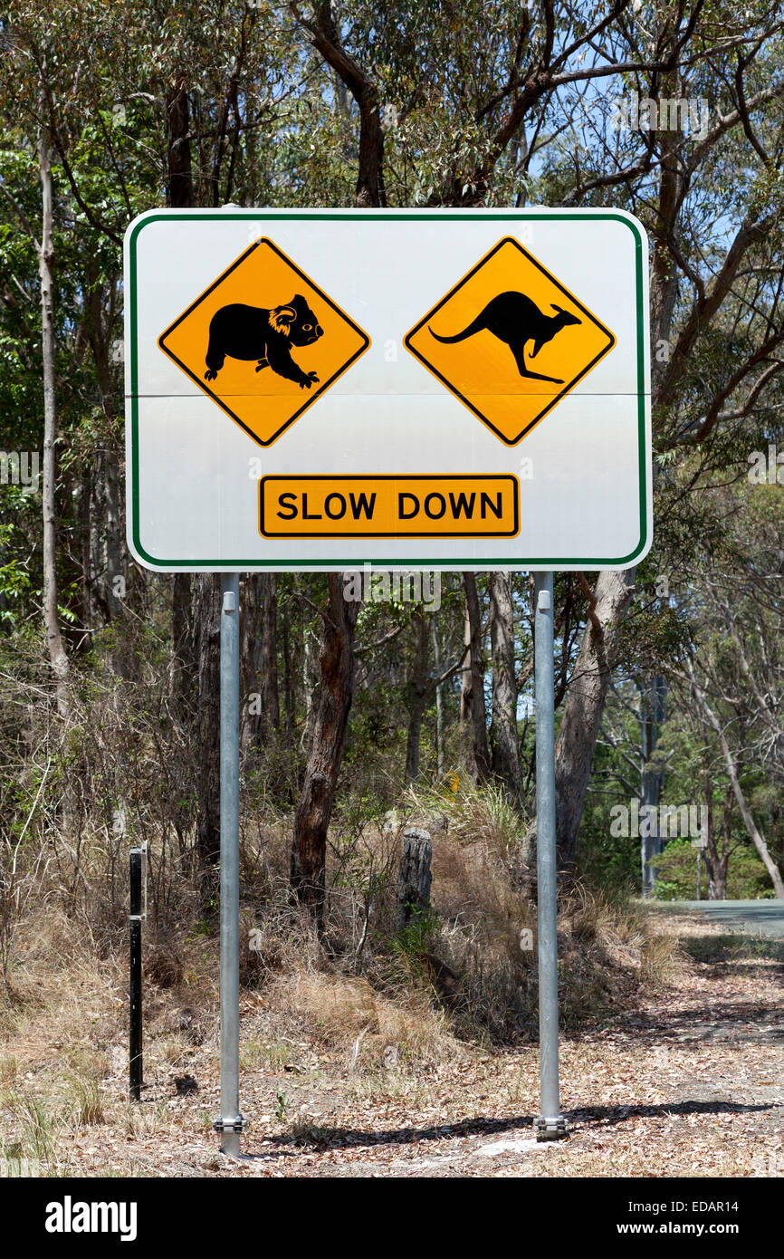 Warnzeichen für Känguru und Koala in Queensland Stockfoto