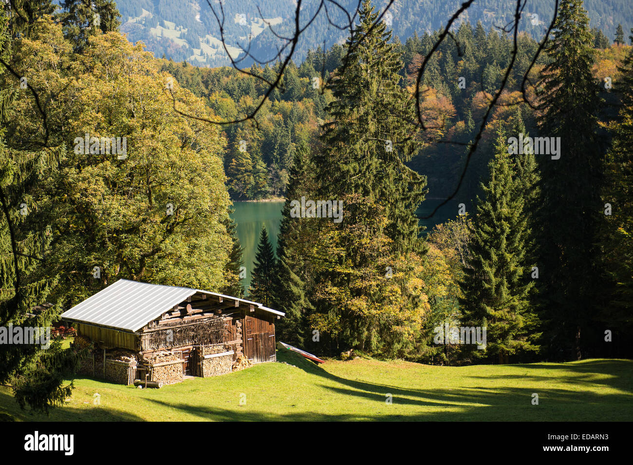 Holzhütte auf der grünen Wiese im bayerischen Allgäu Stockfoto