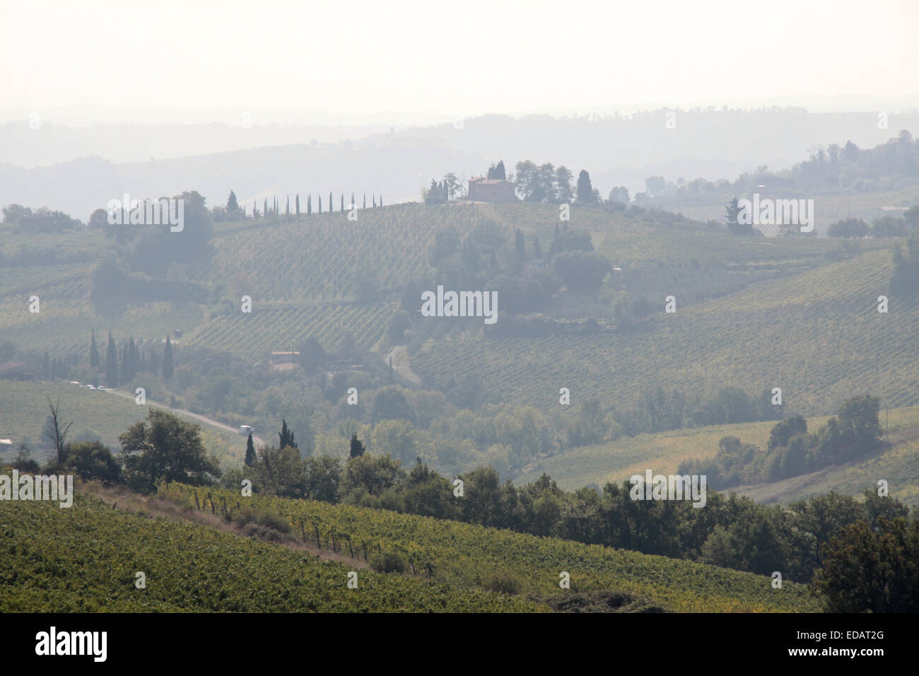 Toskanischen Hügeln in der Nähe von San Gimignano in der Toskana, Italien Stockfoto