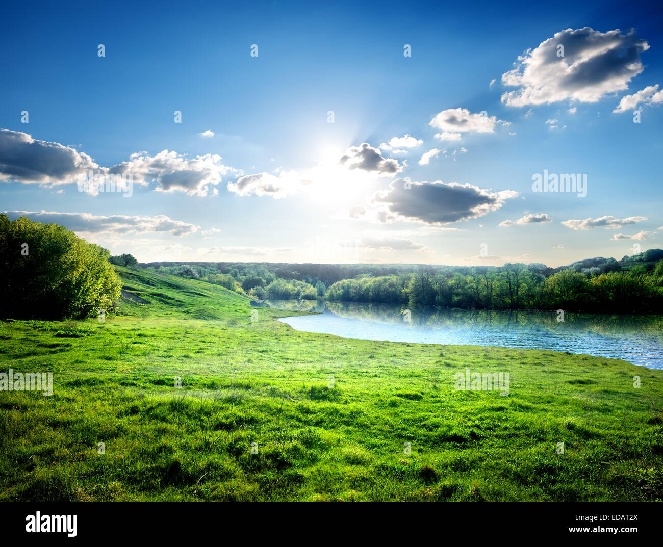 Grüne Wiese in der Nähe Fluss im Wald Stockfoto