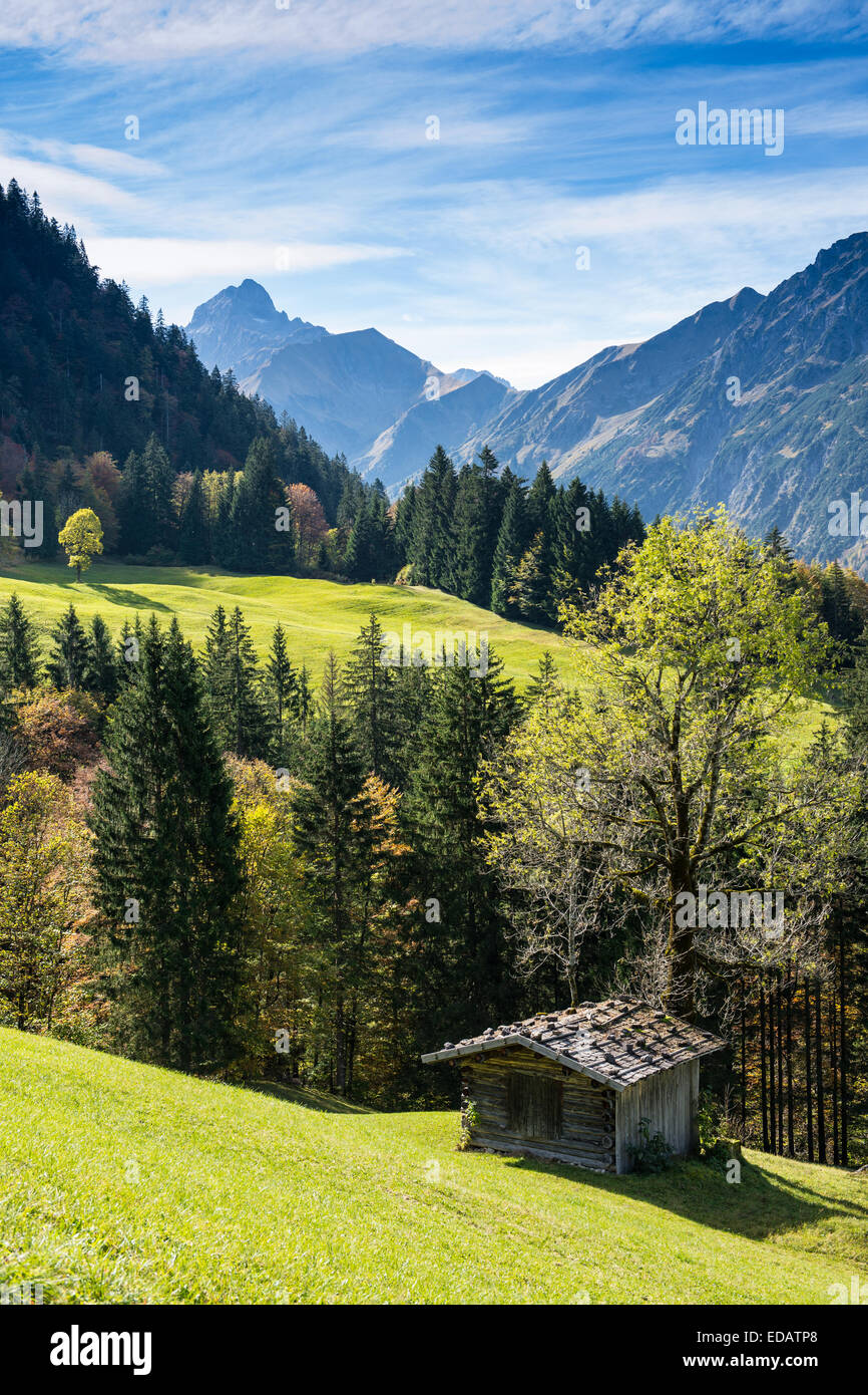 Holzhütte auf der grünen Wiese in den deutschen Bergen Stockfoto