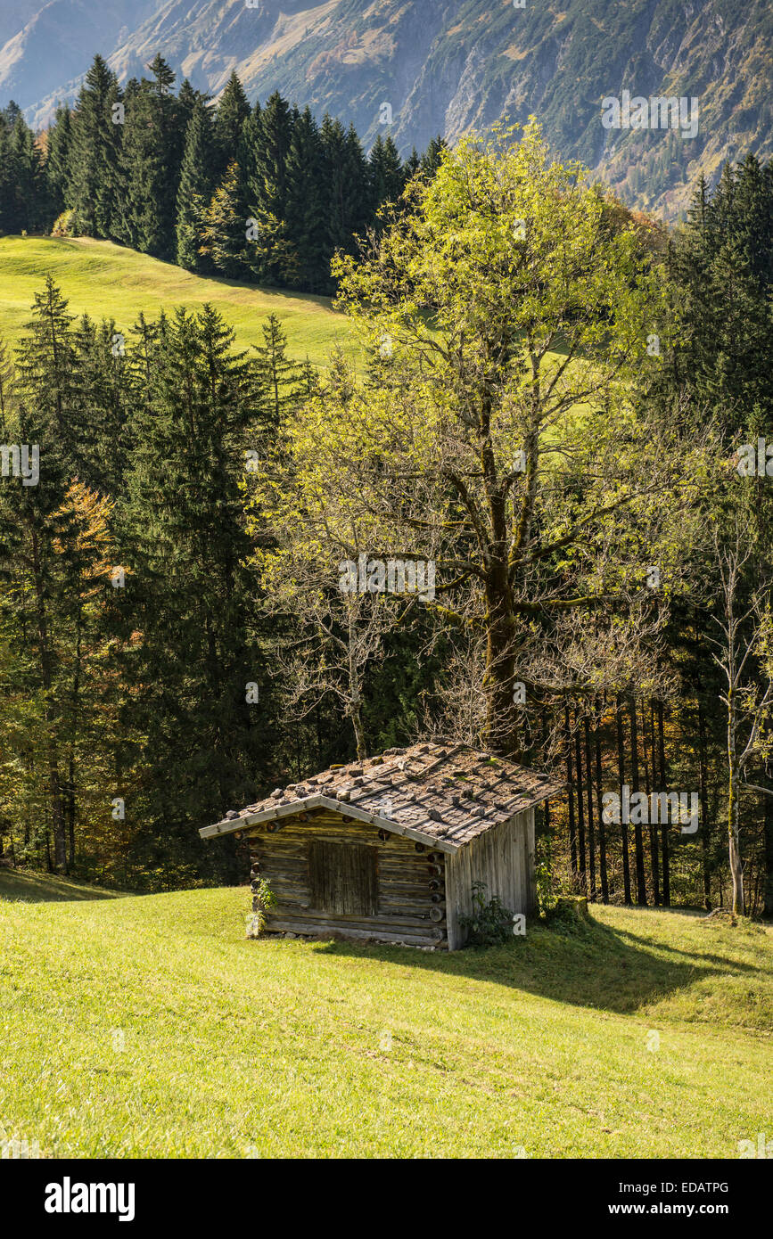 Holzhütte auf der grünen Wiese in einem bayerischen Tal Stockfoto