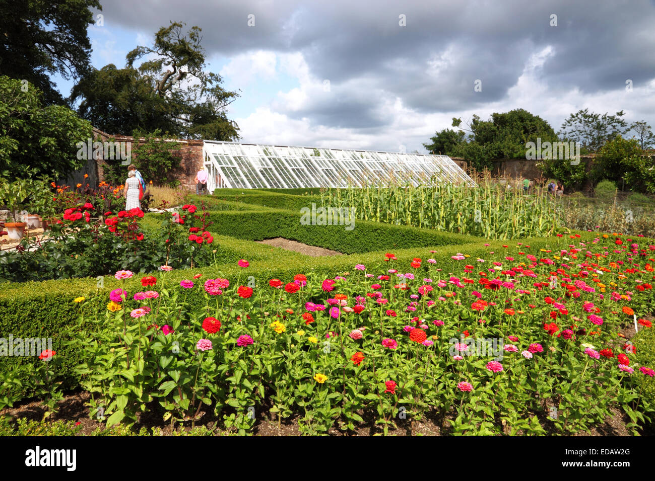 Ein Garten mit Blumen und einem großen Gewächshaus hinter. Stockfoto