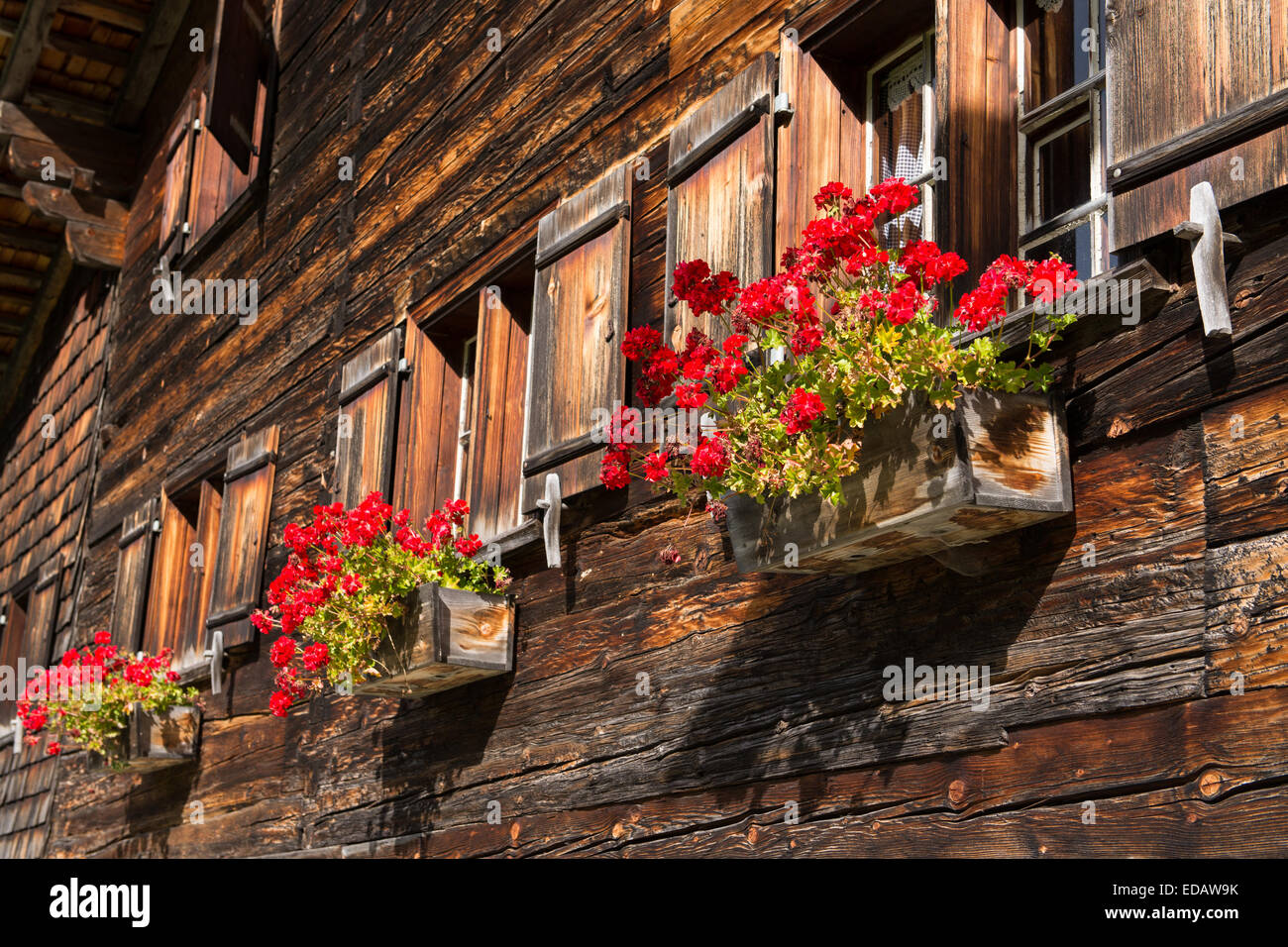 Rustikale alte Holzhaus mit blühenden Blumen Stockfoto