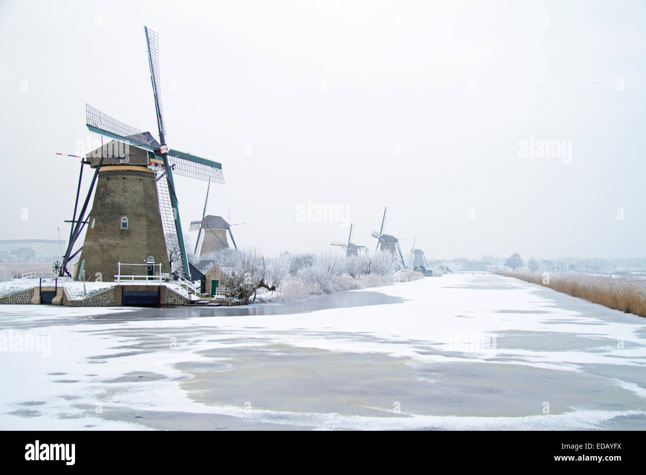 Traditionellen Windmühlen auf dem Lande aus den Niederlanden Stockfoto