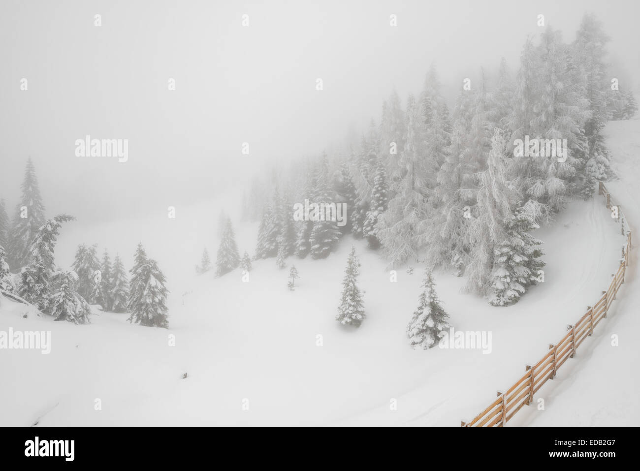 Schöne Landschaft mit Nebel und Schneefall im Winterwald Stockfoto