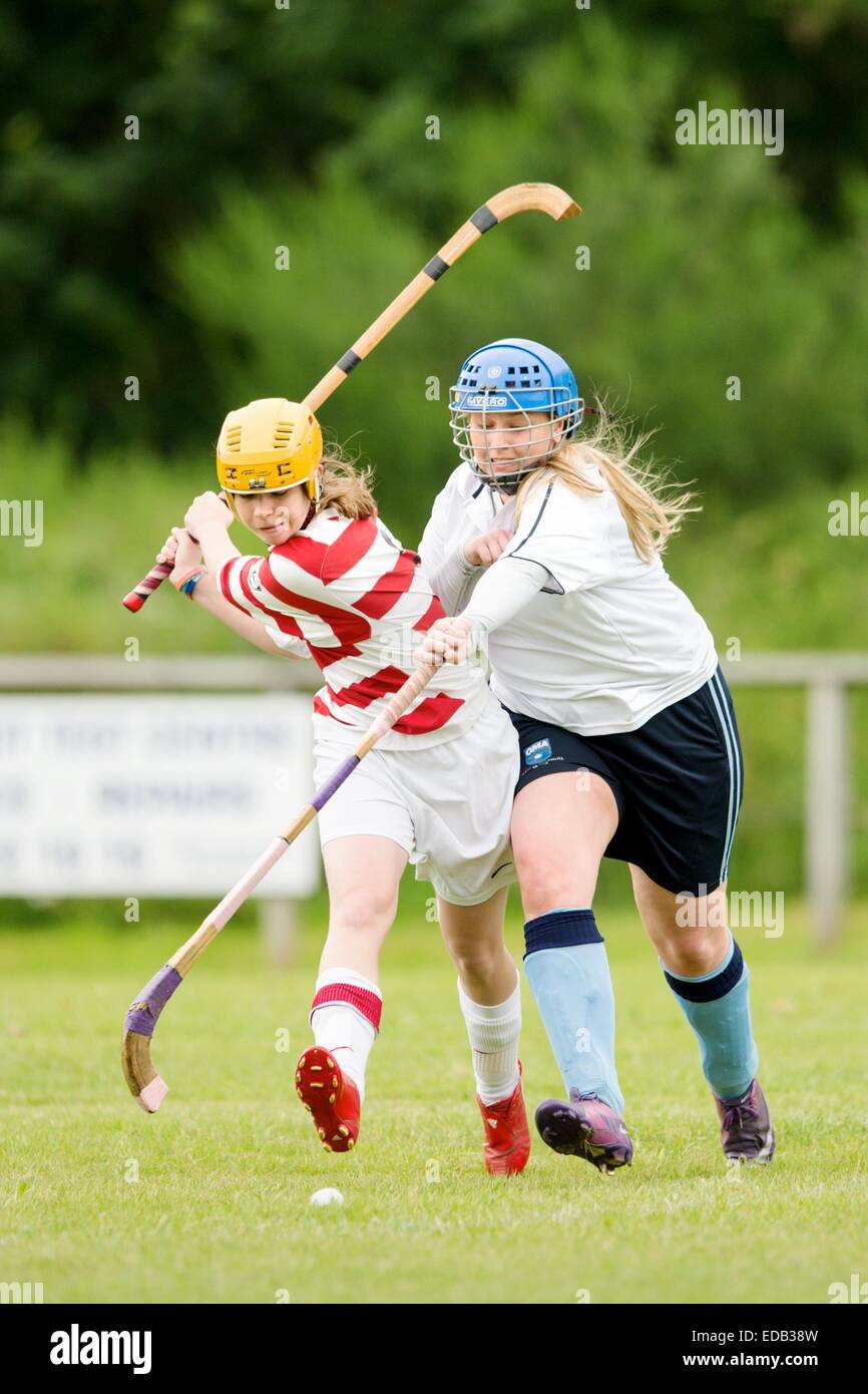 2014 Valerie Fraser Camanachd Cup Halbfinale für Frauen, GMA V Lochaber, spielte bei Balgate, Kiltarlity. Stockfoto