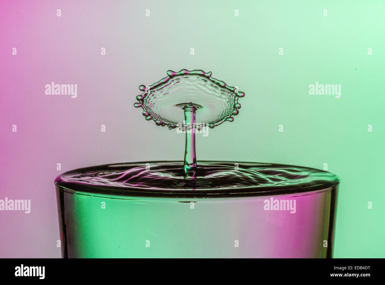 Wasser Tropfen in einem Glas Wasser Kollision.  Wassertropfen Plätschern, ungewöhnliche Formen mit rosa und grüner Hintergrund erstellen. Stockfoto