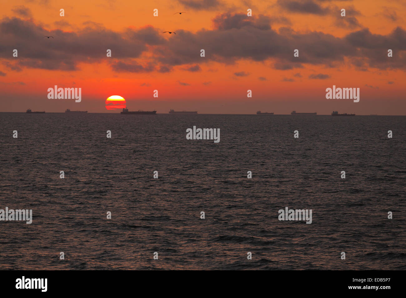 Container-Schiffe am Horizont warten nahe dem Hafen von Rotterdam Stockfoto