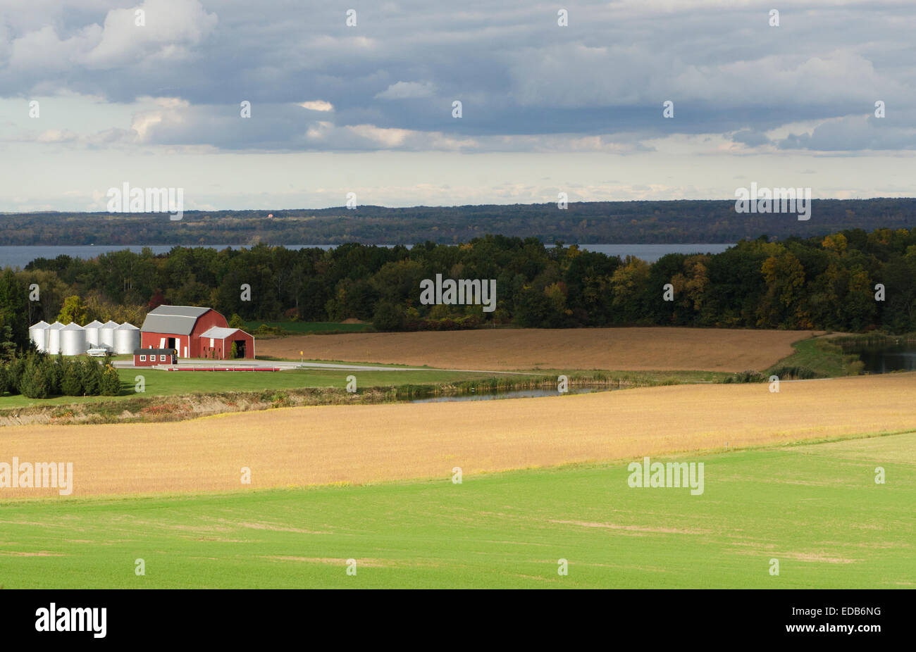 Finger Lakes Region USA Lake Keuka Weingut Westseite post Erntezeit Stockfoto