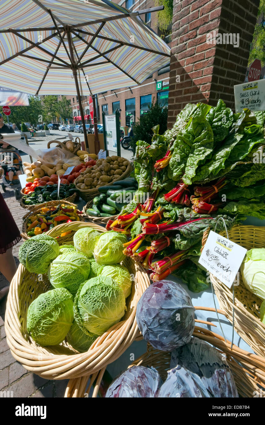Farmers Market, Philadelphia, Pennsylvania Stockfoto