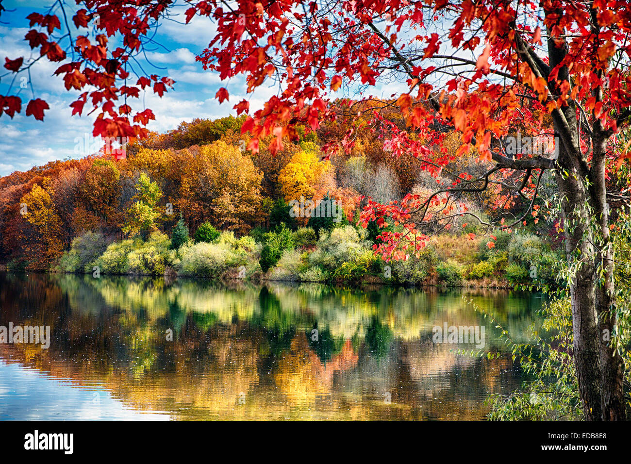 Bunte Bäume Spiegelungen im See, Runde Talsperre, Hunterdon County, New Jersey Stockfoto