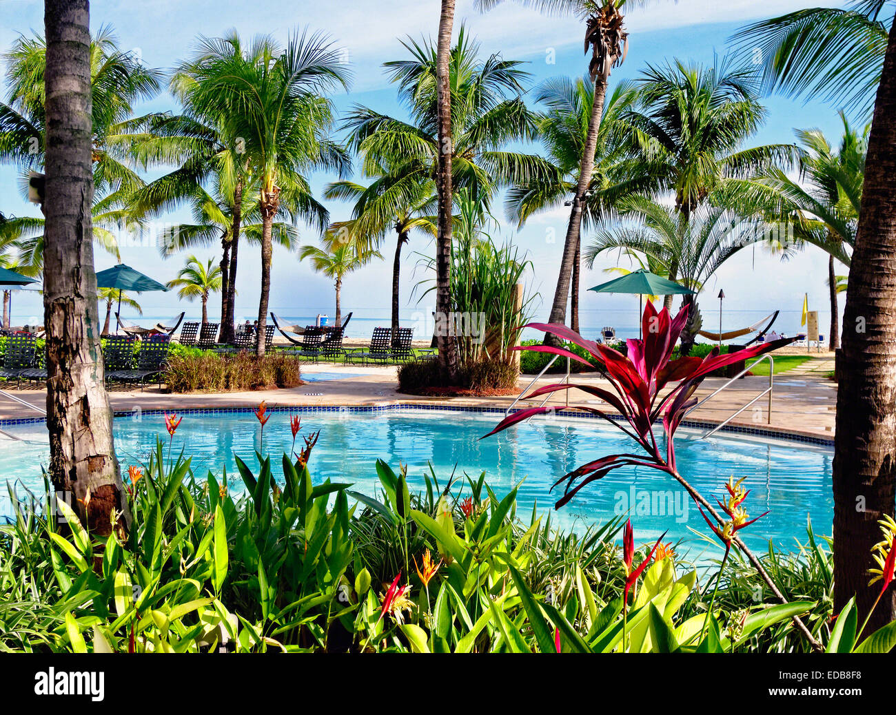 Blick auf eine karibische Resort mit Pool und Hängematten, Isla Verde Beach, Puerto Rico Stockfoto