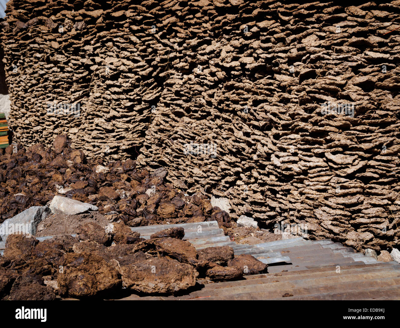 Yak-Dung trocknen, um als Kochen und Heizen Brennstoff im Nepal Himalaya verwendet werden Stockfoto