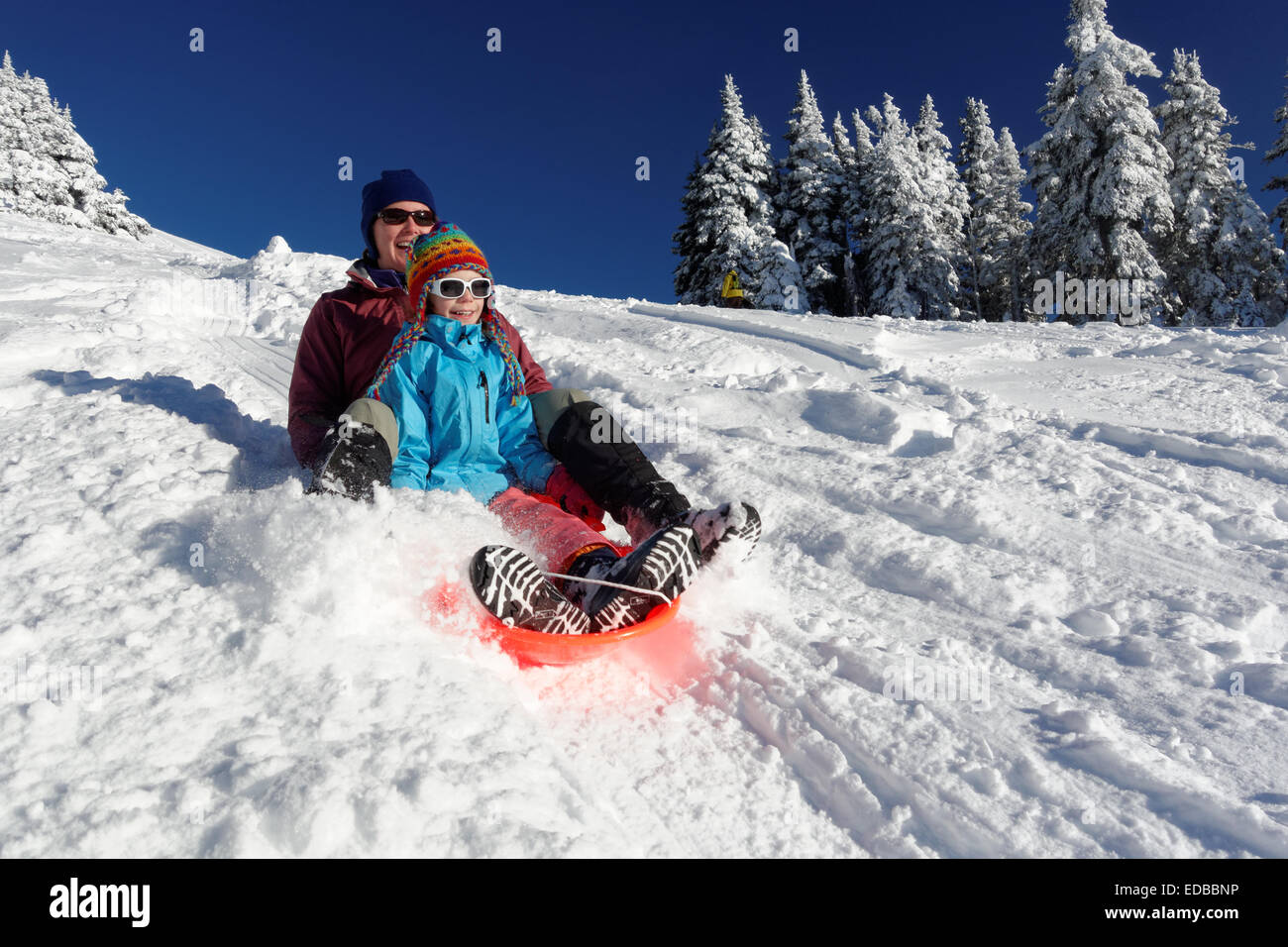 Mutter und Tochter Rodeln auf Schnee im Gebirge, Hurricane Ridge, Clallam County, Olympic Nationalpark, Washington, USA Stockfoto