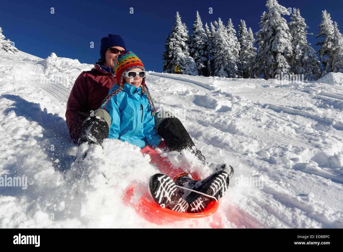 Mutter und Tochter Rodeln auf Schnee im Gebirge, Hurricane Ridge, Clallam County, Olympic Nationalpark, Washington, USA Stockfoto