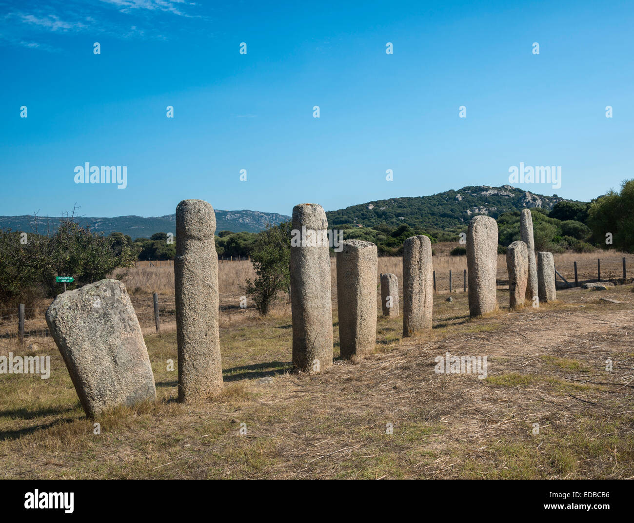 Prähistorische Stätte von Stantari, Menhire, Stantari Ausrichtung, archäologische Stätte, Neolithikum, Cauria, Fontanaccia, Corsica Stockfoto