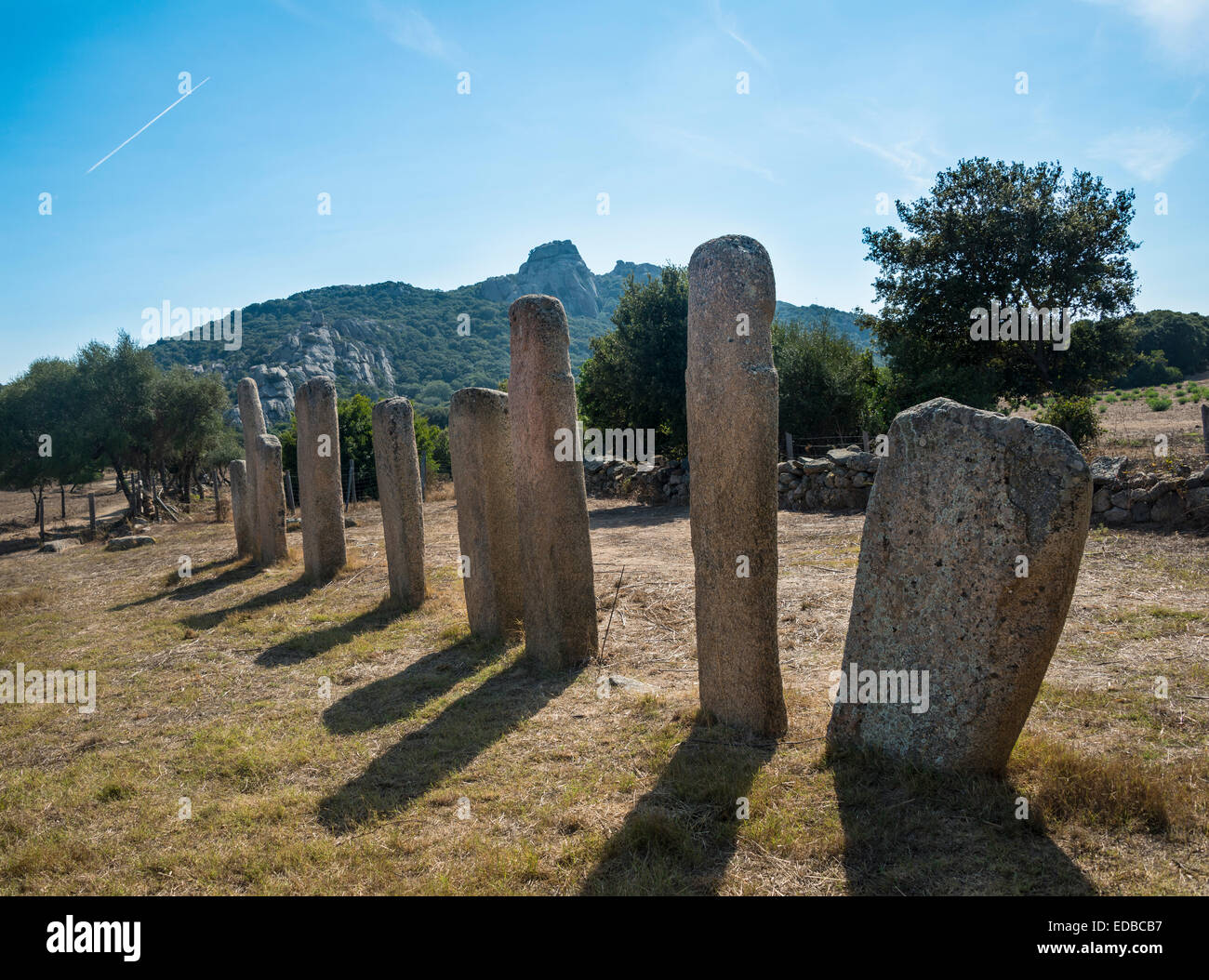 Prähistorische Funde von Stantari, Menhire, Stantari Ausrichtung, archäologische Stätte, Neolithikum, Cauria, Fontanaccia Stockfoto