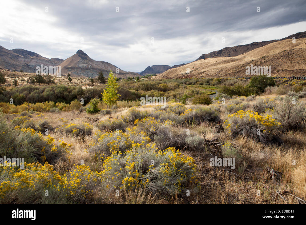 Einem Hügel von the Painted Hills, John Deer Fossil Beds, Oregon, Vereinigte Staaten Stockfoto