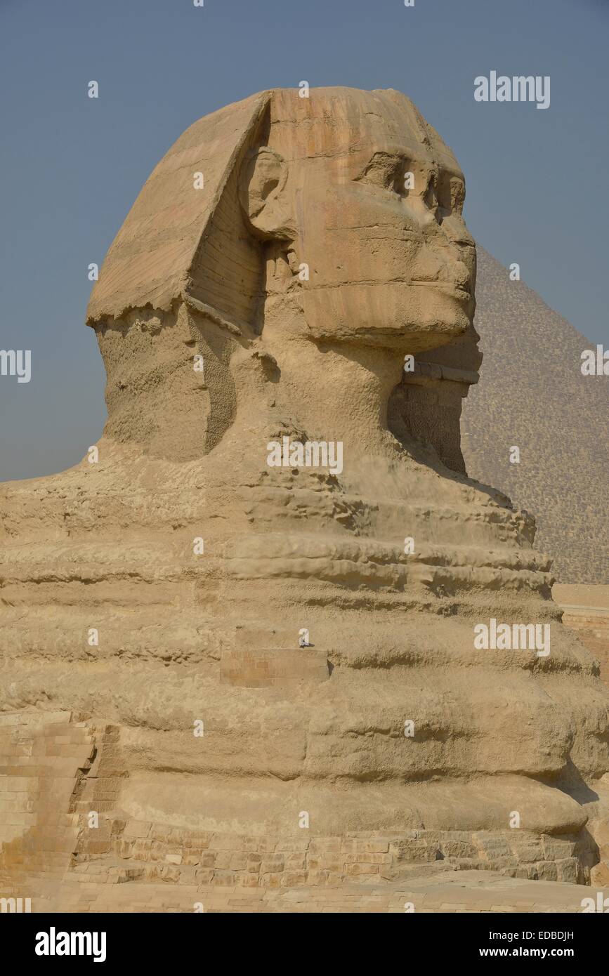 Sphinx oder große Sphinx von Gizeh, Löwen mit einem Menschenkopf, gebaut in der 4. ägyptische Dynastie um 2700 v. Chr. an der Stockfoto