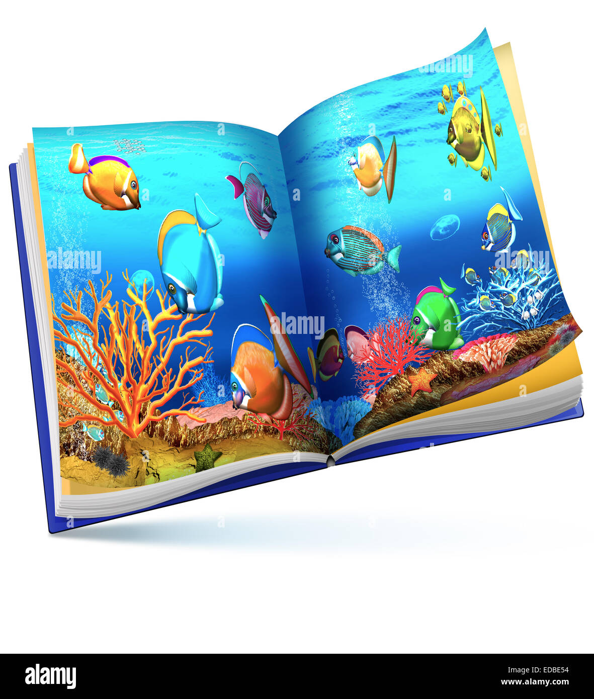 Korallenriff, Kinder &#39; s Buchillustration Stockfoto
