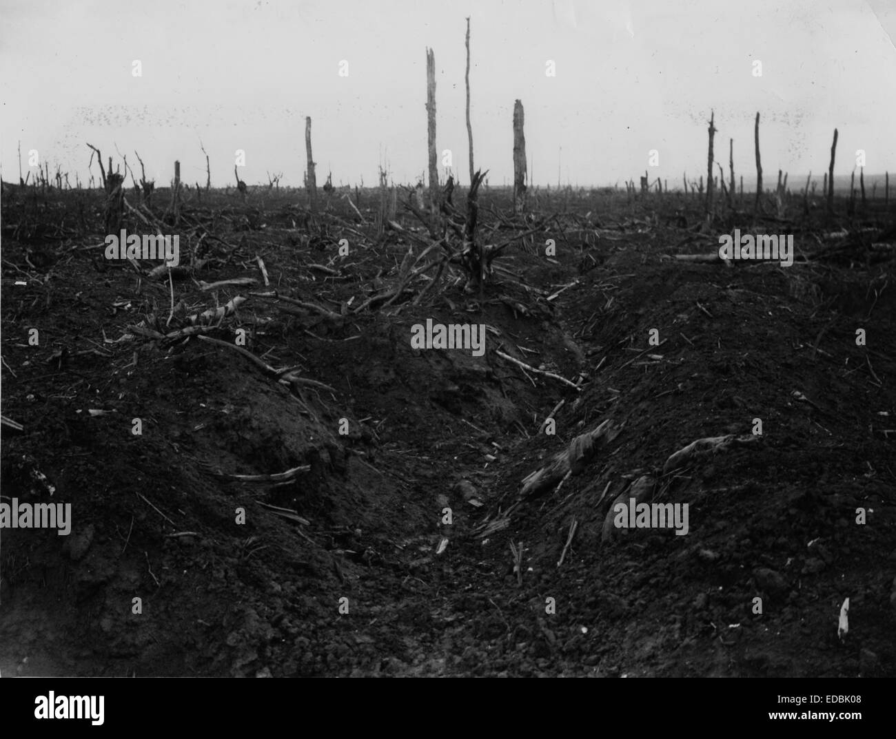 Schlacht von Delville Holz. Stockfoto