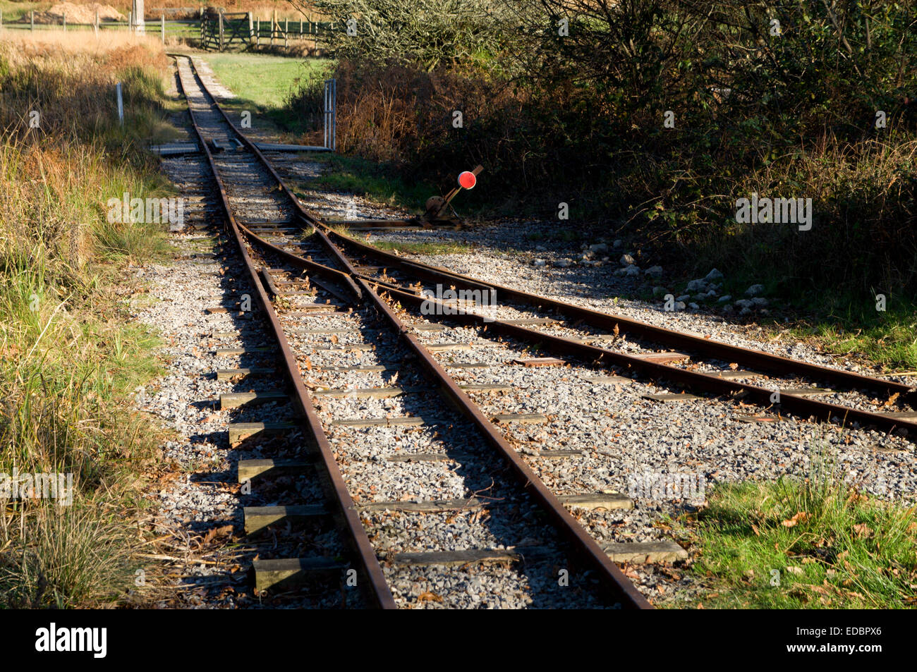 Konvergierenden Eisenbahnlinien, Landschaftspark Margam, Port Talbot, South Wales, UK. Stockfoto