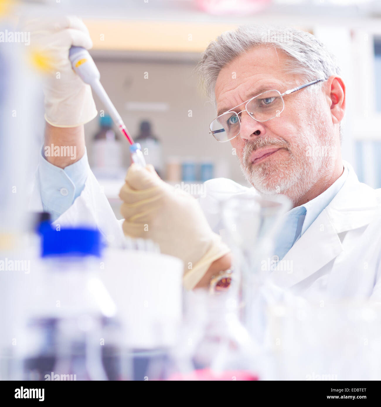 Lebens-Wissenschaftler forschen im Labor. Stockfoto