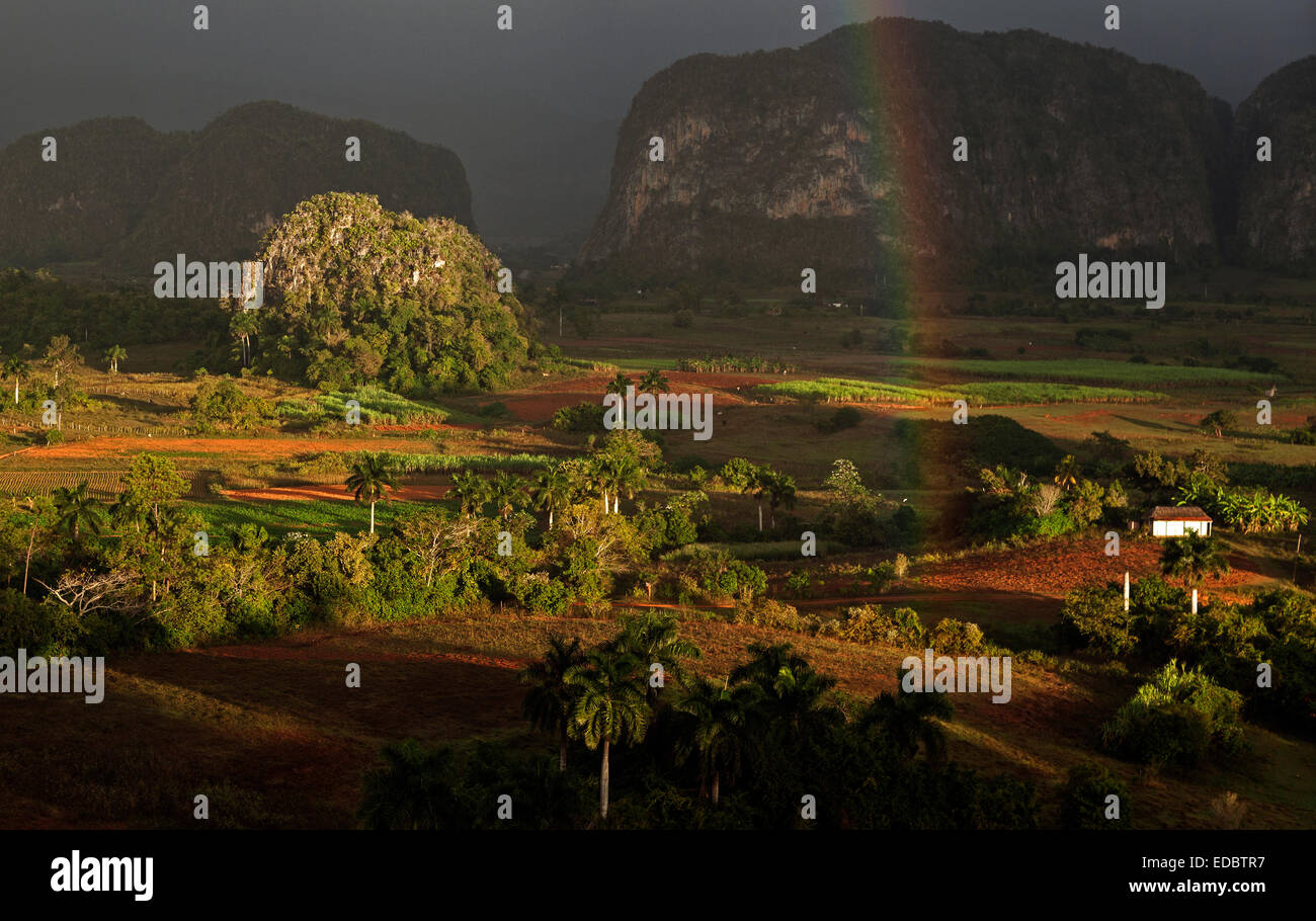 Regenbogen, Gewitterstimmung, Gewitterwolken, Tal von Viñales, Kuba Stockfoto